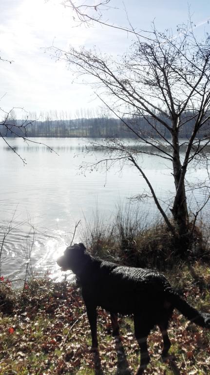 Gite Au Lac Du Gouyre Puygaillard-de-Quercy Exterior photo