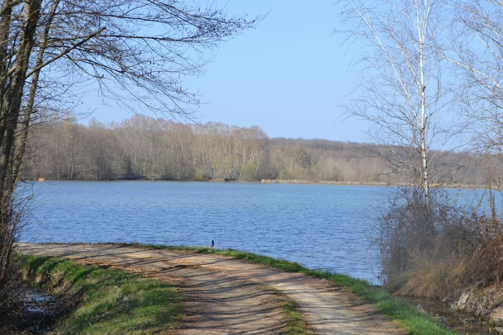 Gite Au Lac Du Gouyre Puygaillard-de-Quercy Exterior photo